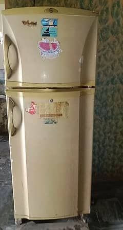 PEL Jumbo size Refrigerator