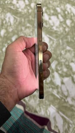 iPhone 12pro Max 256GB GOLD  PTA APPROVED