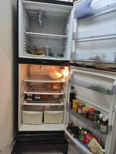 full size PEL fridge.