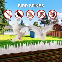Bird Spikes Barrier In Pakistan