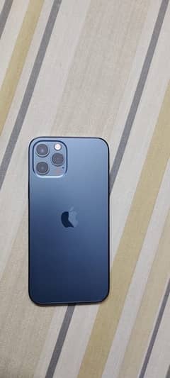 iphone 12 pro (box available )
