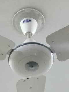 Pak fan ceiling fan good condition for sale