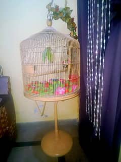 Birds Cage (Pinjra) Large size for sale