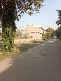 50000 sq. ft. Neat and clean Warehouse available for rent on Multan road Lahore