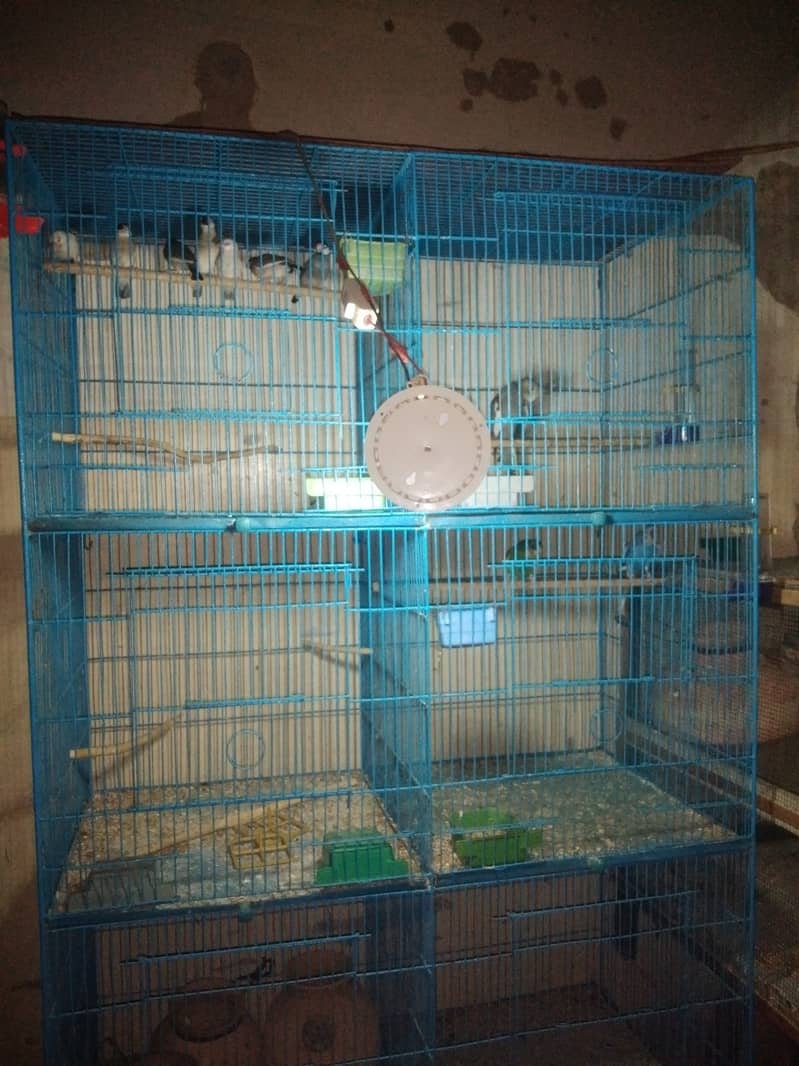 CAGE FOR SALE 1