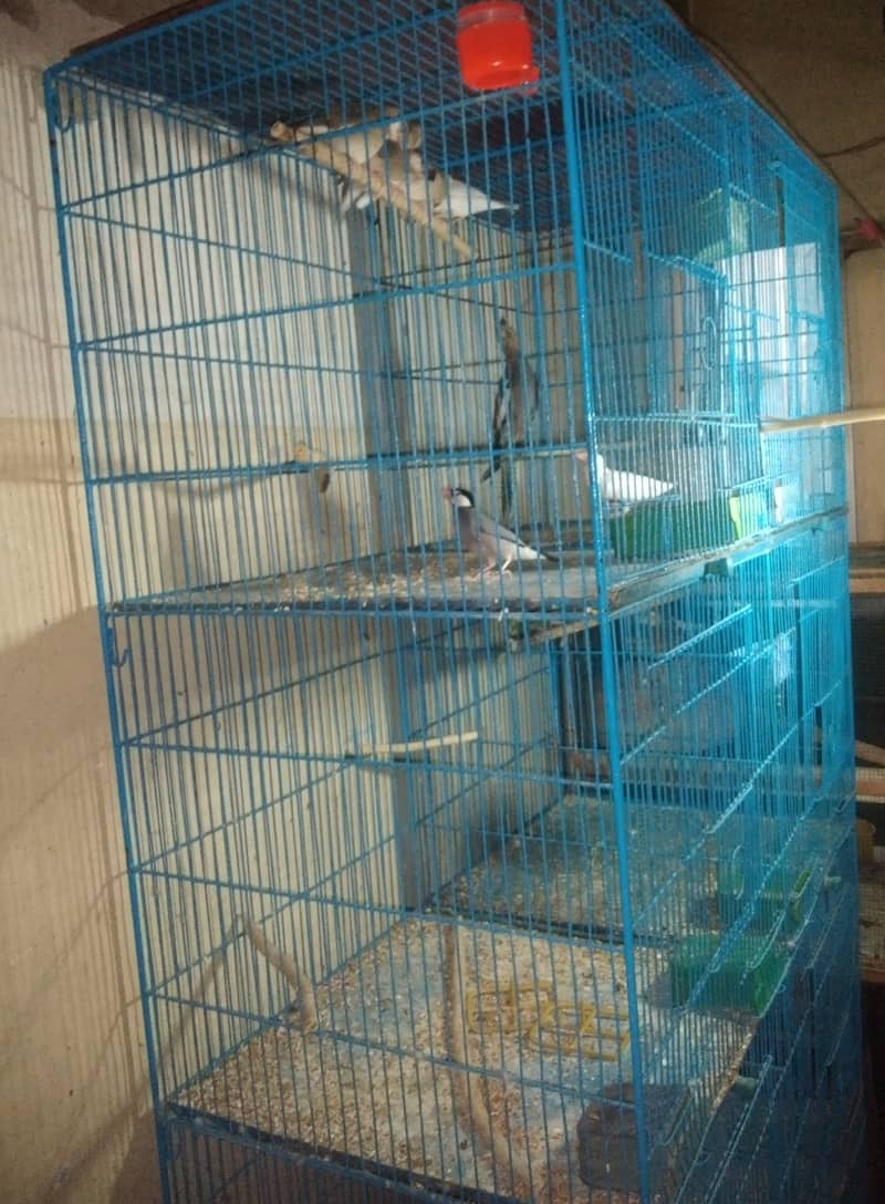 CAGE FOR SALE 2