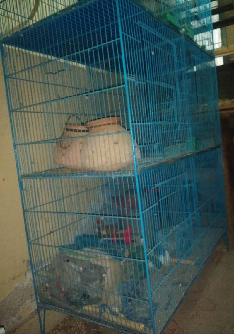 CAGE FOR SALE 3