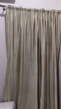 5 Jersy Golden Curtain for sale