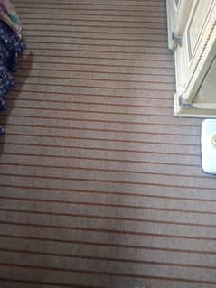 1year uesd carpet for sale