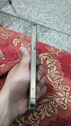 Iphone 12 pro Dual physical pta approved