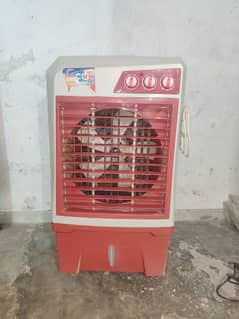 Air Cooler Medium Size (03084539639)