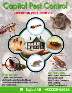 Mosquito/Cockroach/Termite Fumigation/Sofa washing/Water Tank Cleaning