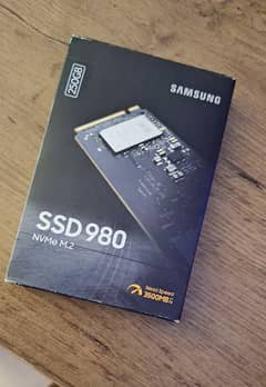 Samsung 980 EVO 250 GB M. 2 SSD