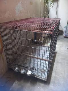 Raw parrot breeding cage