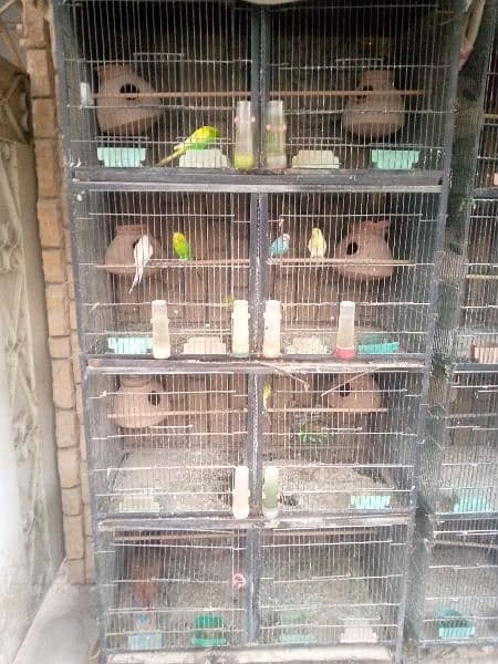 only cage for sale 0