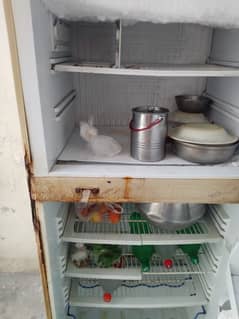 PEL refrigerator full size