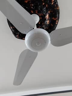 Sonex ceiling fan very less used
