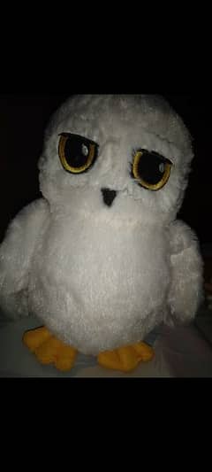 Harry potter's owl