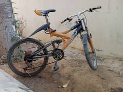 Lion king bicycle for teenagers