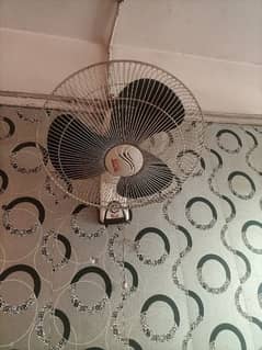 wall fan for sale
