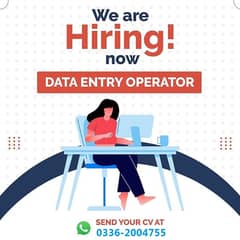 Data entry operator OR accountant