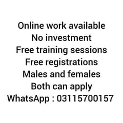 work without investment both males and females can apply