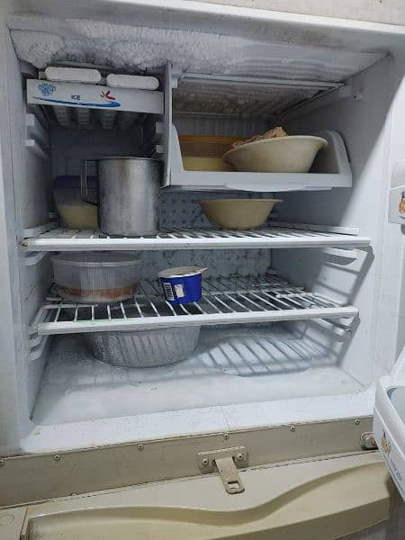 pel refrigerator 4