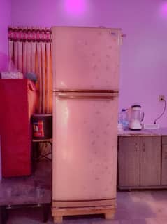 Dawlance Full Size Refrigerators