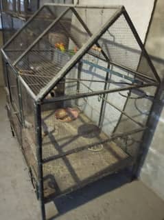 Full size birds cage & collony