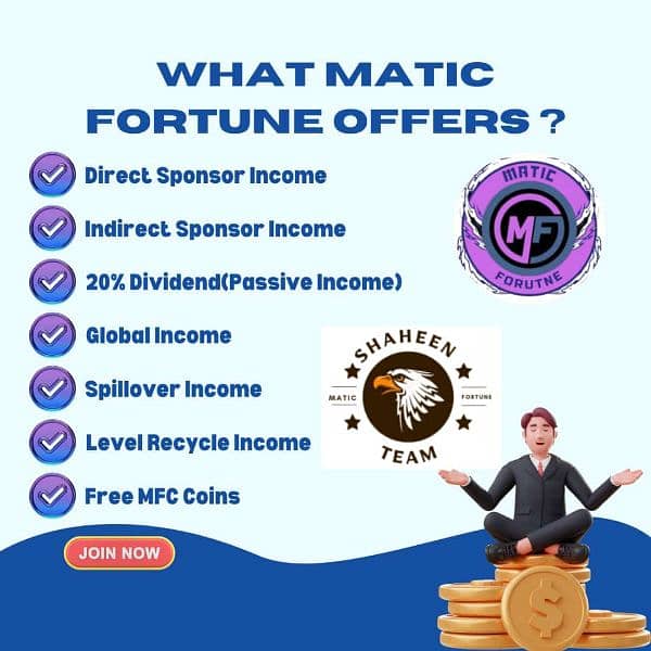 Online earning with matic fortune 4