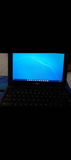 Dell (Chromebook) 2/16