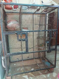 birds cage parrots cage