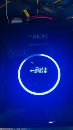 Trion original UPS with Daewoo deep cycle battery