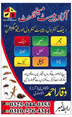 Pest Control | Termite | Fumigation Service Sahiwal, Okara & Pakpattan