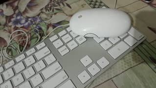 Apple keyboard and mouse