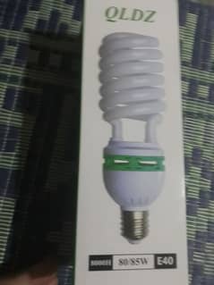 80 Watt Bulb