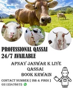 professional Qassai Available