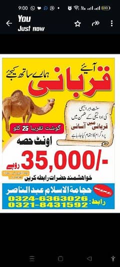 camel hisa