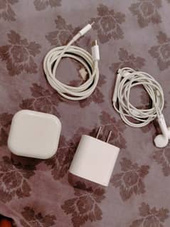 box packed not opened 
20watt fast charger for Ios 2 adapter Hain