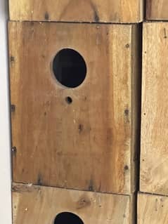 wooden Love bird Boxes 1 season used almost look line new