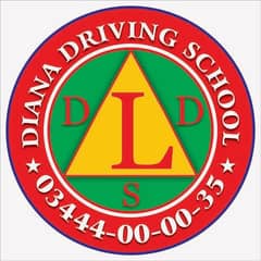 Driving instructors or drivers
