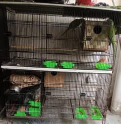Iron cage for birds . urgent sale