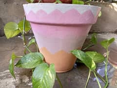 Clay Painted Pot