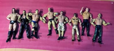 Wretling Figures movable of Professional Wrestlers