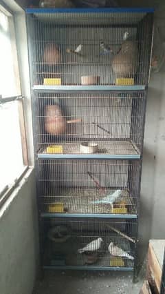 cage sale03127093372