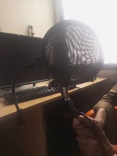bm800 mic