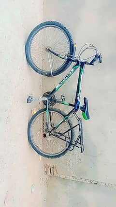 caspin bicycle full size