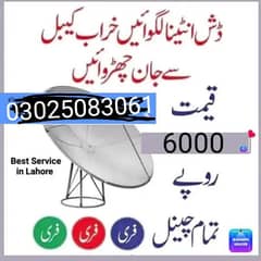 4K Dish Antenna Network 03025083061