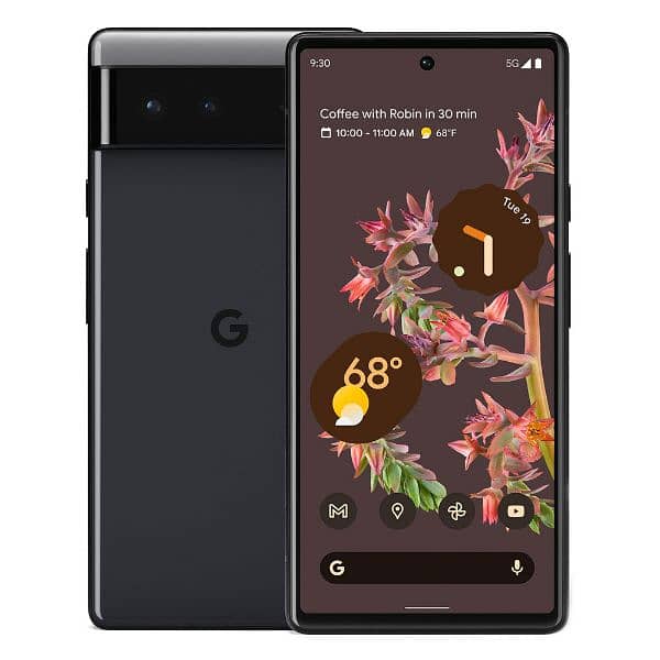 Google pixel 6 1