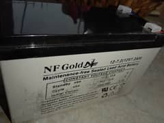 NF Gold Acid Battery